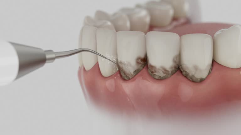 Reliable Dental contractor in Laurel, MS by Dentist Open Now